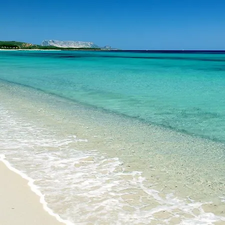 Le Di Helga