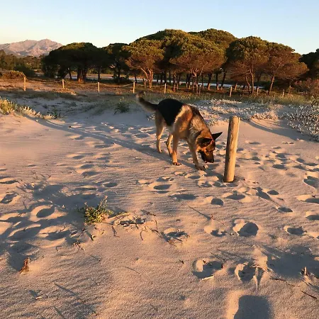 Апартаменты Le Di Helga